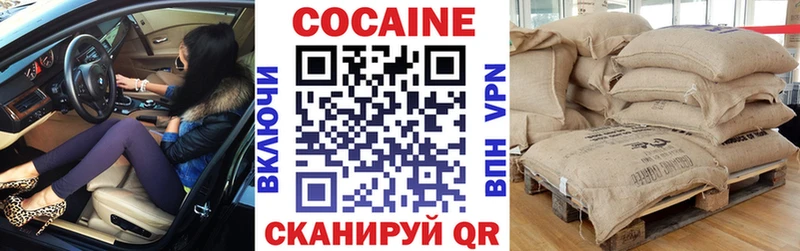 Купить закладки Нижняя Тура Кокаин Fish Scale