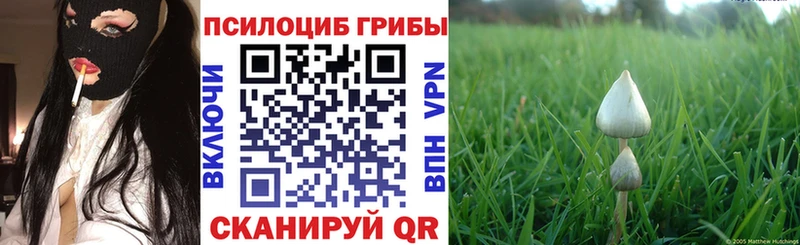 Купить закладки  Нижняя Тура  Псилоцибиновые грибы мицелий 