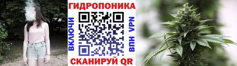 Купить закладки  Нижняя Тура  Марихуана White Widow 